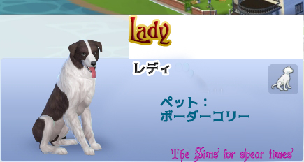 レディ