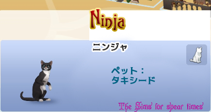 ニンジャ