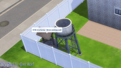 The Sims4