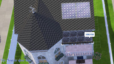 The Sims4