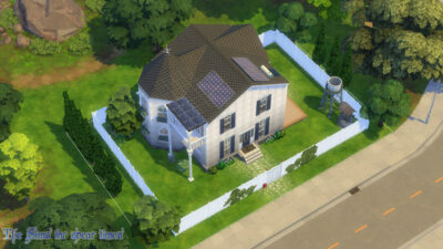 The Sims4