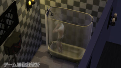 The Sims4