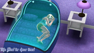 The Sims3