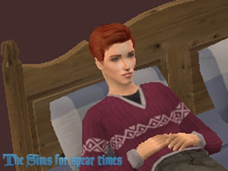 The sims2