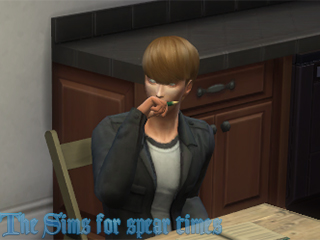 The Sims4