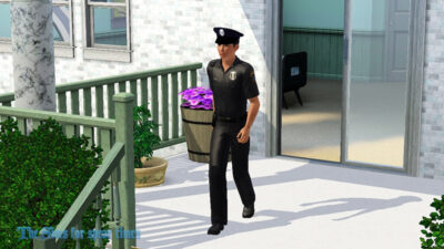 The Sims3